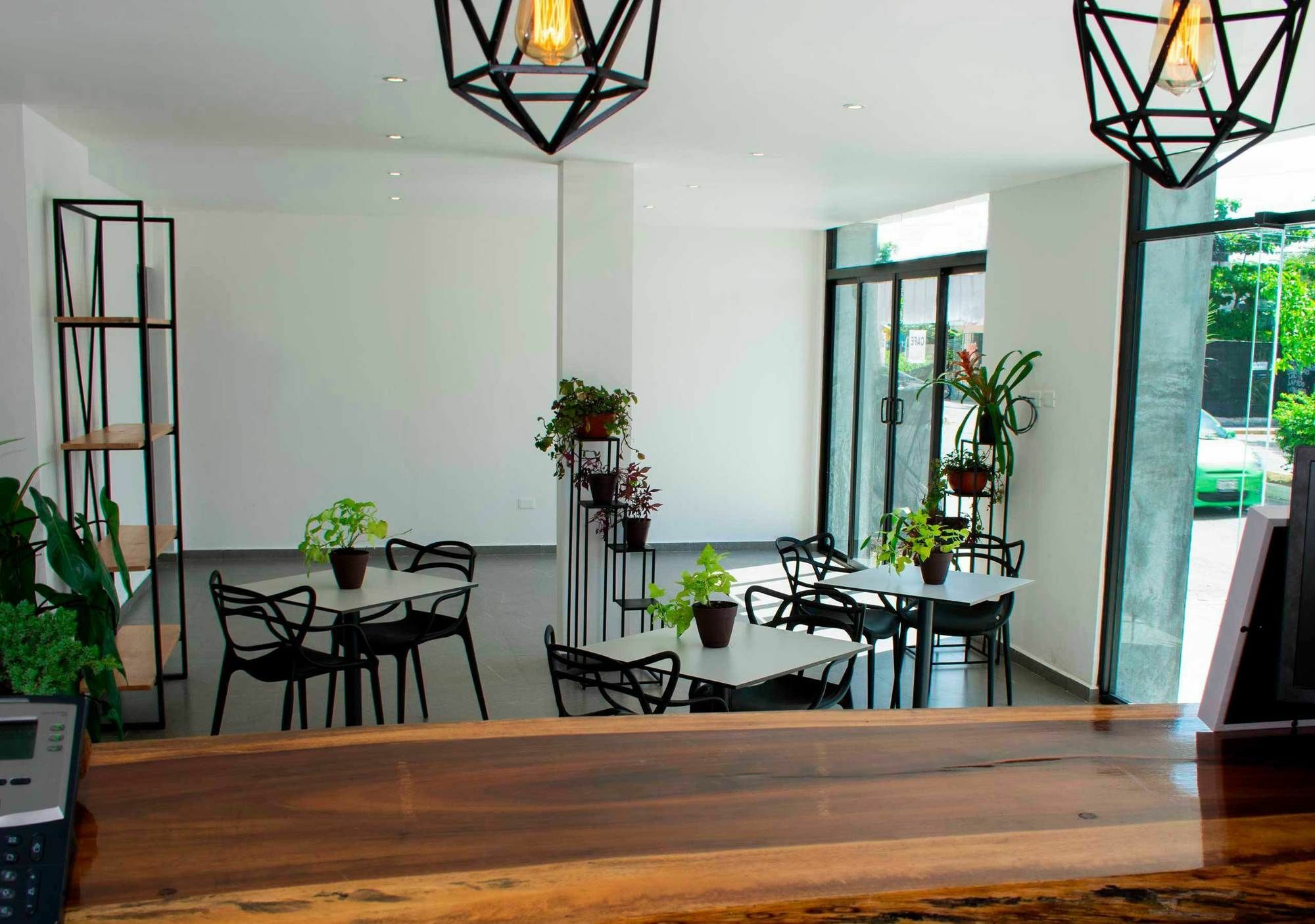 We Express Hotel Playa Del Carmen (Adults Only) Zewnętrze zdjęcie